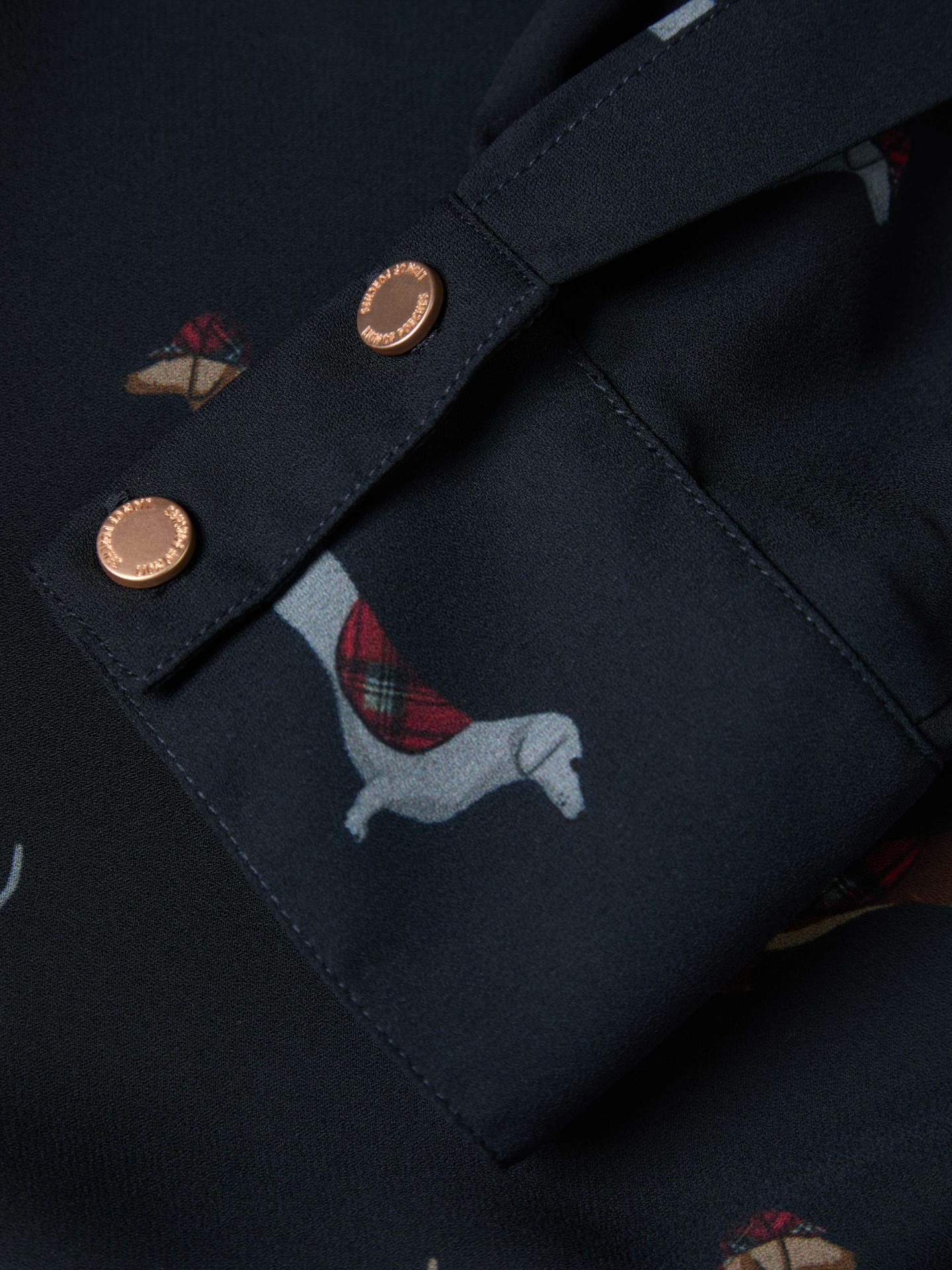 LION OF PORCHES - Camisa curta com estampado Teckel - Image 3